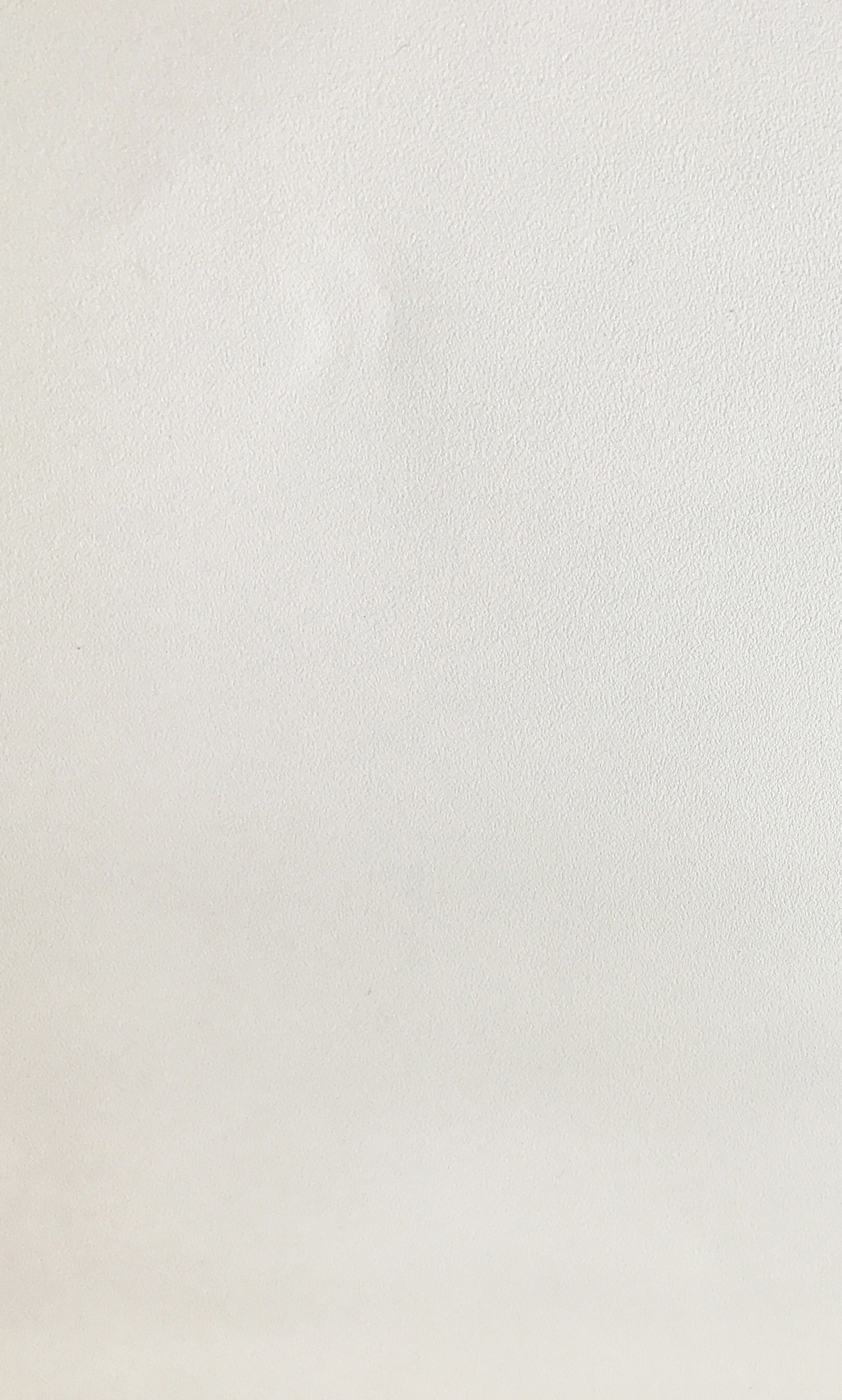 PP28 - Arctic