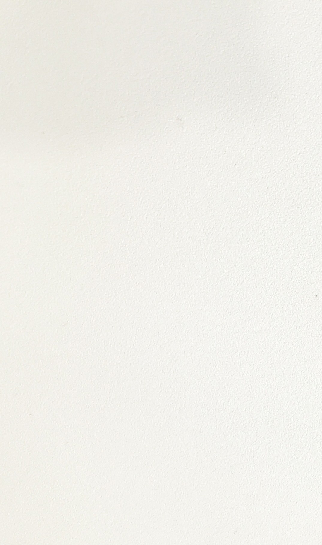 PP29 - Vanilla