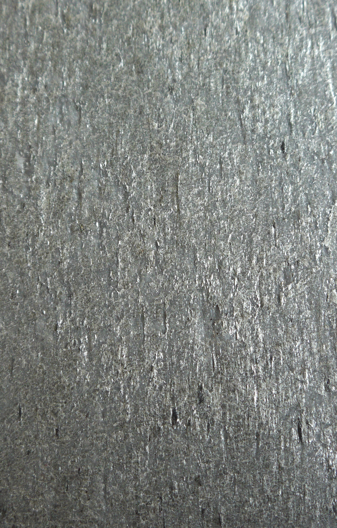 SV-F04